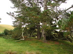 20110321 112105 Neuseeland