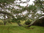 20110321 112120 Neuseeland