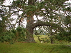 20110321 112125 Neuseeland