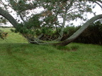 20110321 112159 Neuseeland