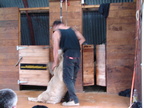 20110321 113758 Neuseeland