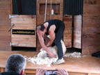 20110321 113848 Neuseeland