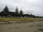20110321 172229 Neuseeland