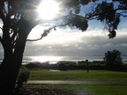 20110322 083306 Neuseeland