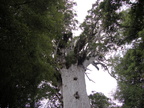 20110322 133757 Neuseeland