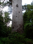 20110322 133929 Neuseeland