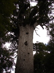 20110322 134042 Neuseeland