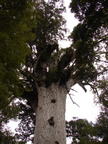 20110322 134046 Neuseeland