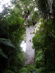 20110322 134451 Neuseeland