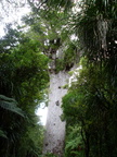 20110322 134504 Neuseeland