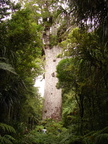 20110322 134530 Neuseeland