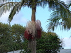 20110322 170453 Neuseeland