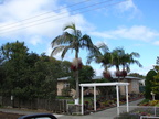 20110322 170455 Neuseeland