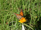 20110322 174815 Neuseeland