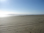 20110322 175153 Neuseeland