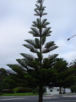 20110323 094748 Neuseeland
