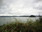 20110323 115717 Neuseeland