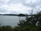 20110323 115830 Neuseeland