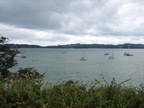 20110323 115839 Neuseeland