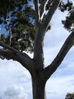 20110324 144757 Neuseeland