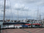 20110324 153701 Neuseeland