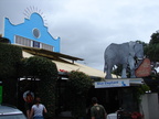 20110325 111924 Neuseeland